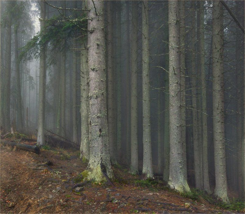 Мистика Карпатphoto preview