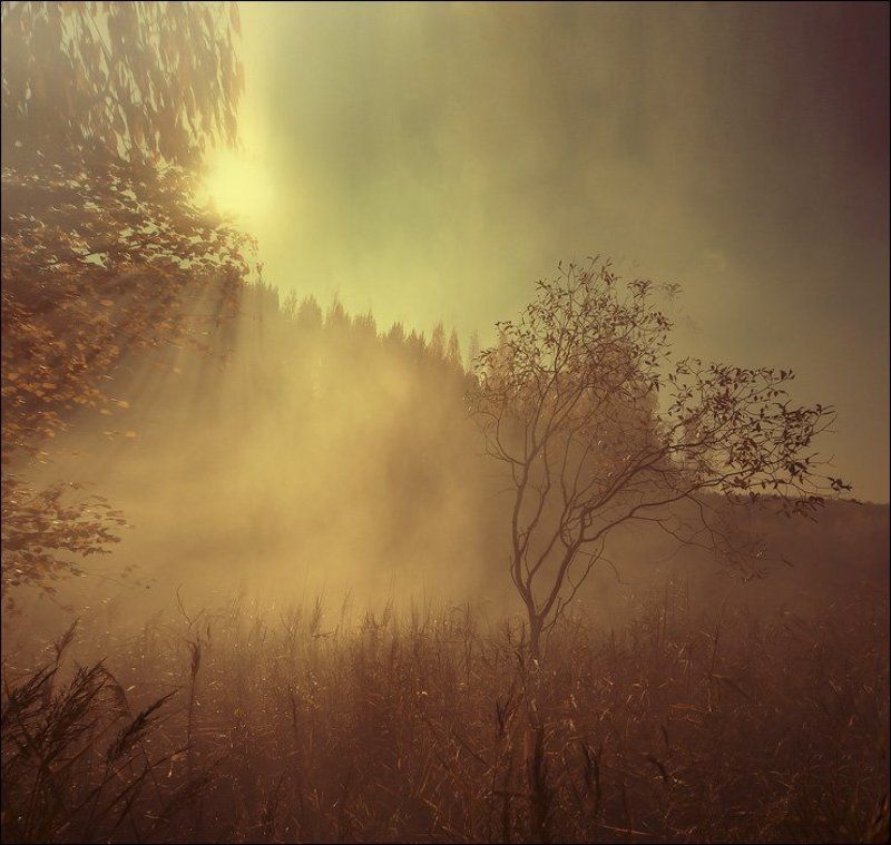 Встреча в бесконечностиphoto preview