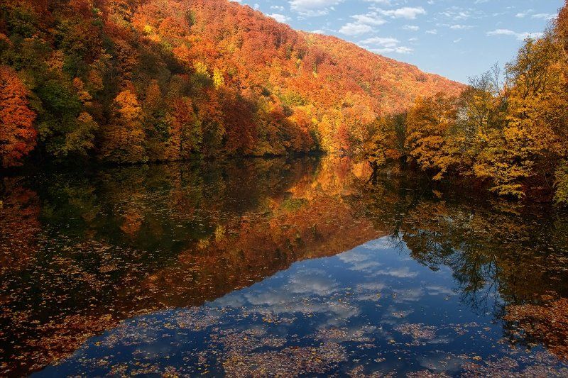 Осеннее утроphoto preview