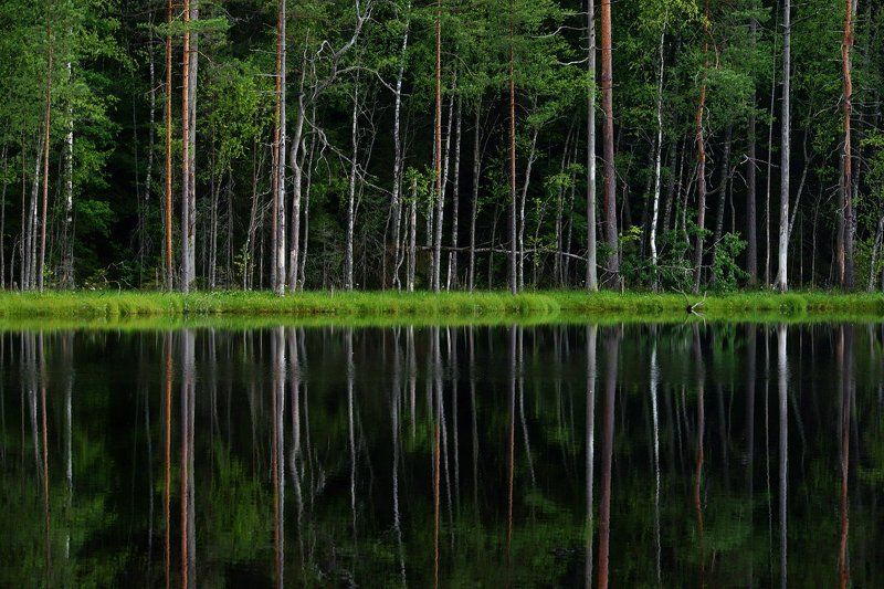 Равновесиеphoto preview