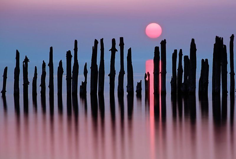 IIIIIIIphoto preview