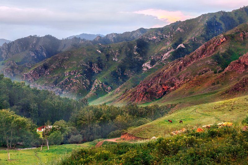 Altay Morningphoto preview