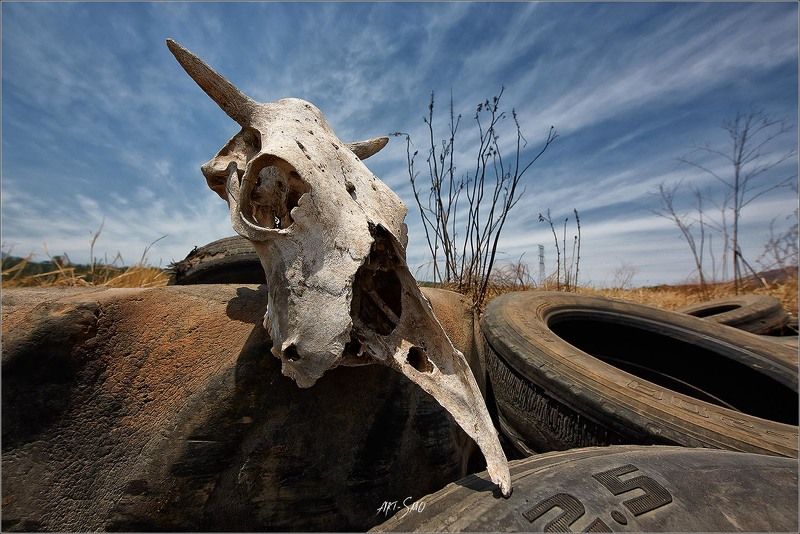 Мексикаphoto preview