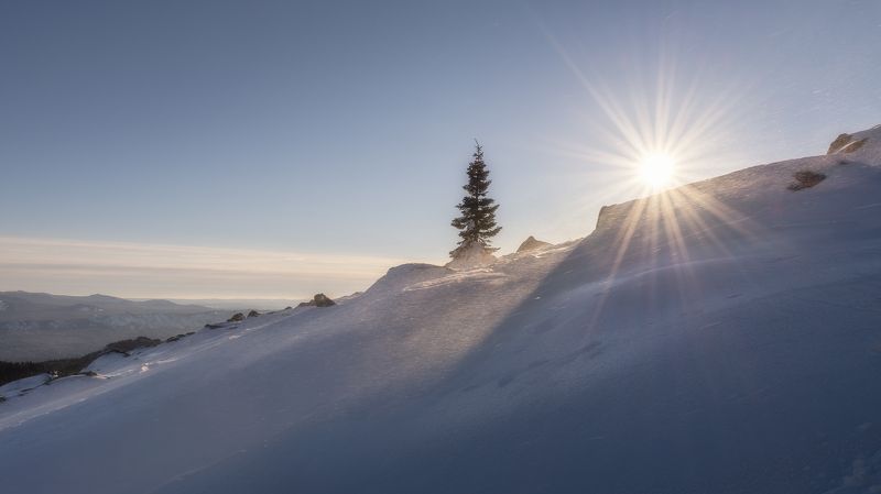 Россия, Южный Урал, Урал, горы, природа, пейзаж, гора Поперечная, солнце, ель, елка, зима, закат, Зигальга, СергейАлтушкин В гостях у ели фото превью