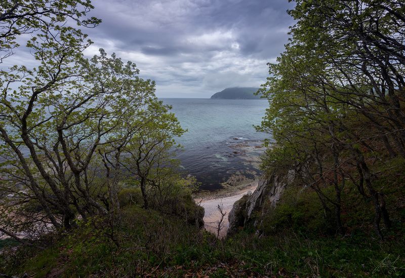 *** фото превью