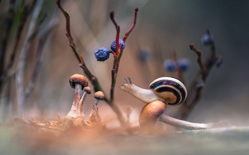 Не все дороги гладкие...photo preview