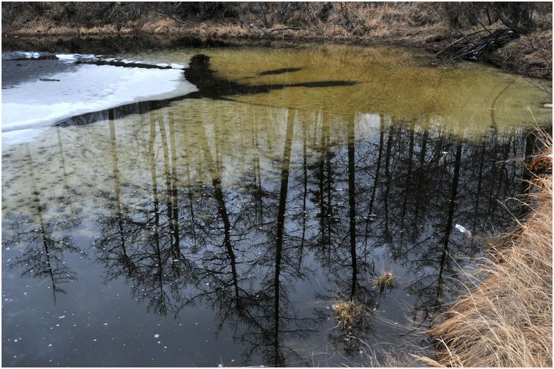 Отражениеphoto preview