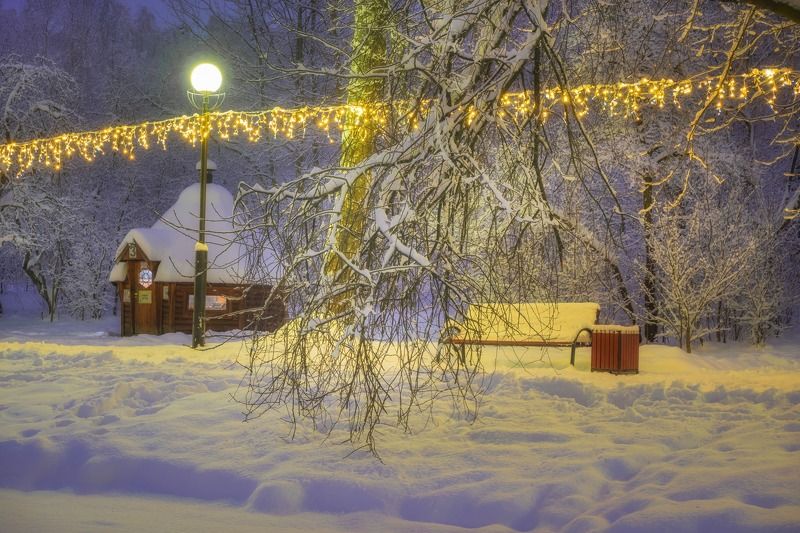 красногорск Зимний парк IIphoto preview