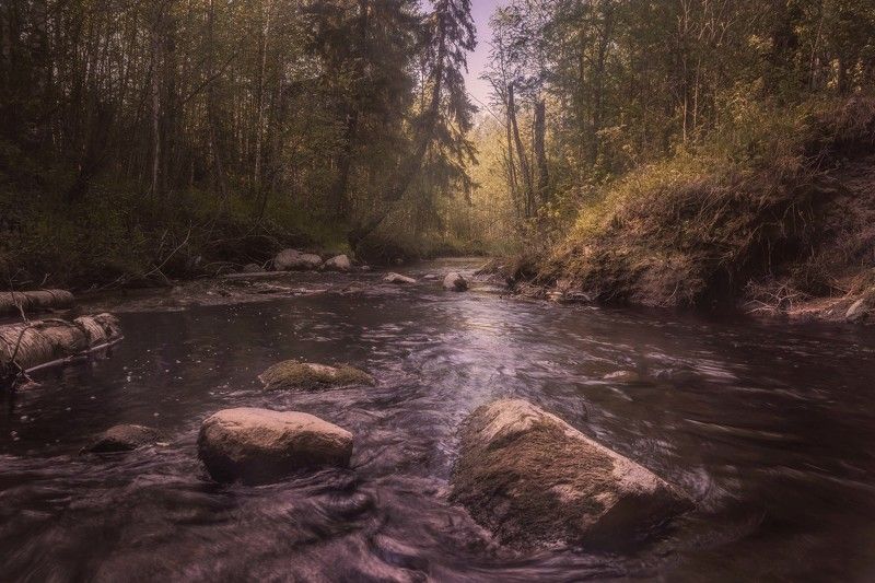 Северная речка Пележмаphoto preview