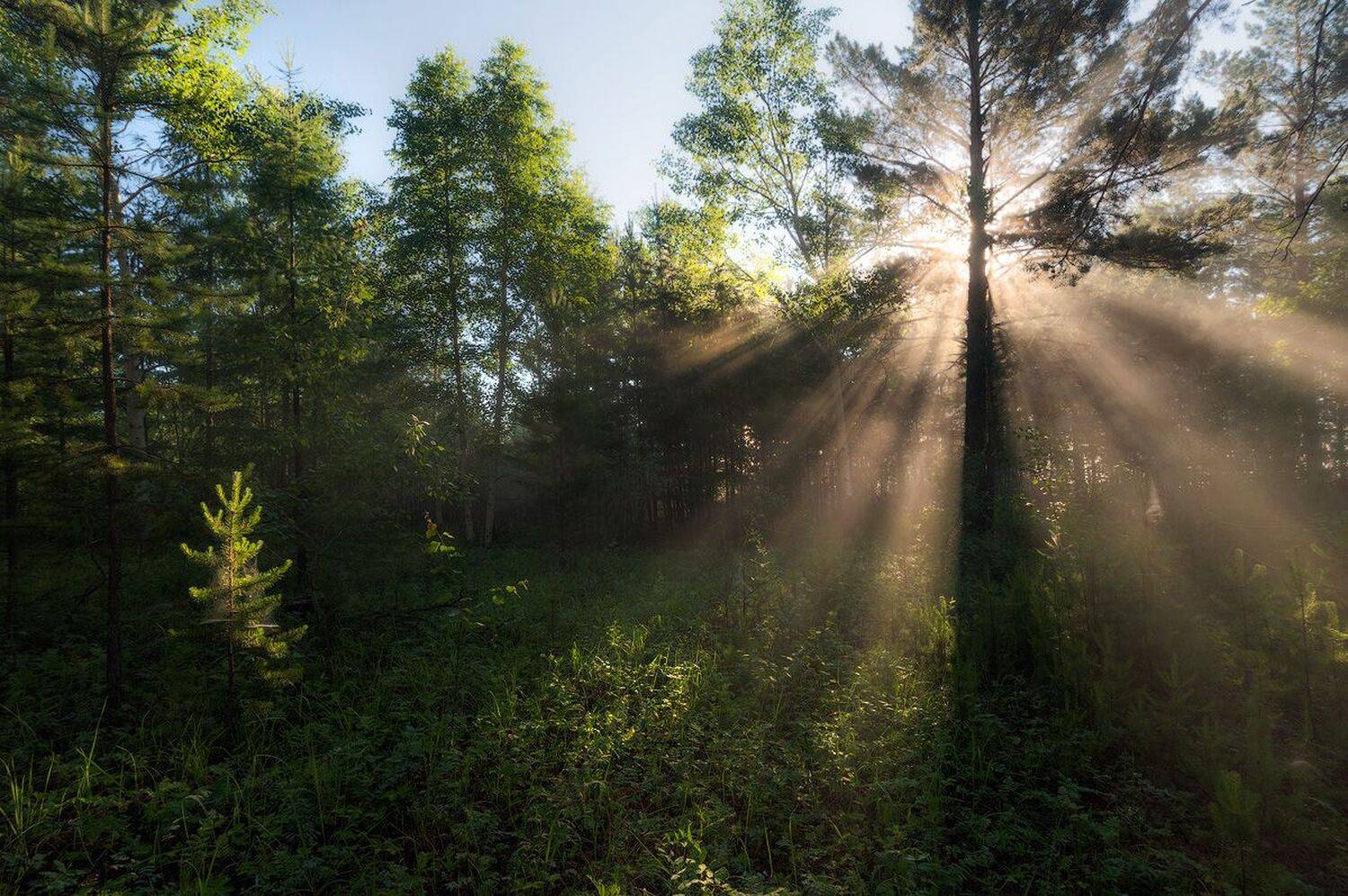 ***. Автор: Сергей Брагин , Сергей Брагин