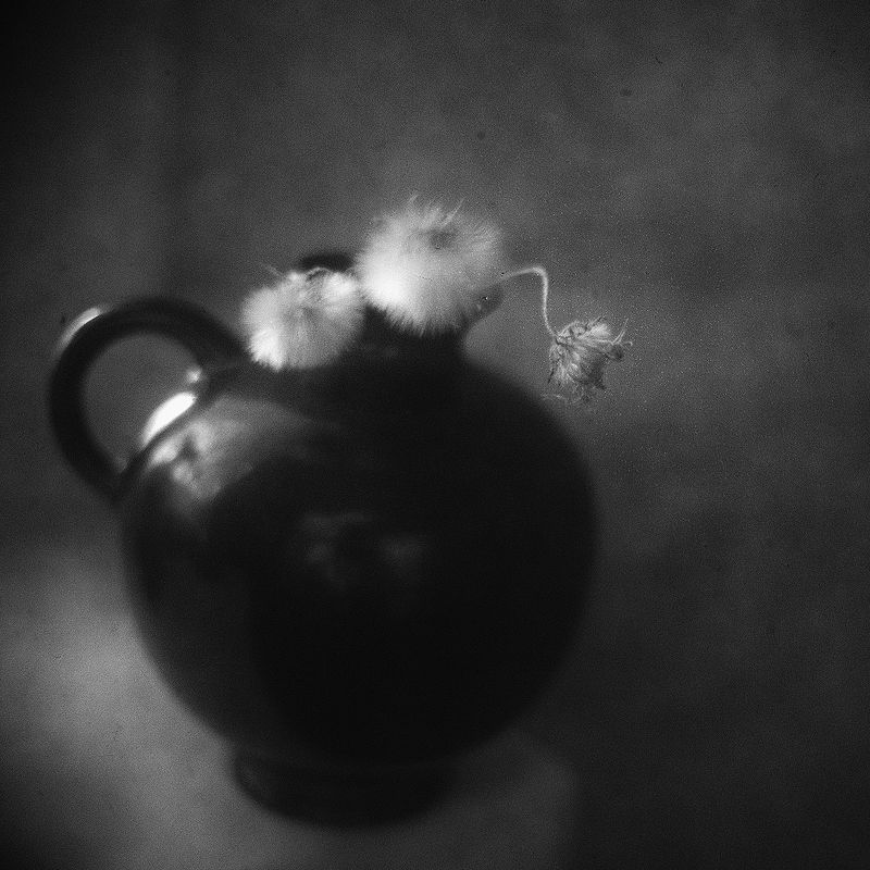 Земные облакаphoto preview