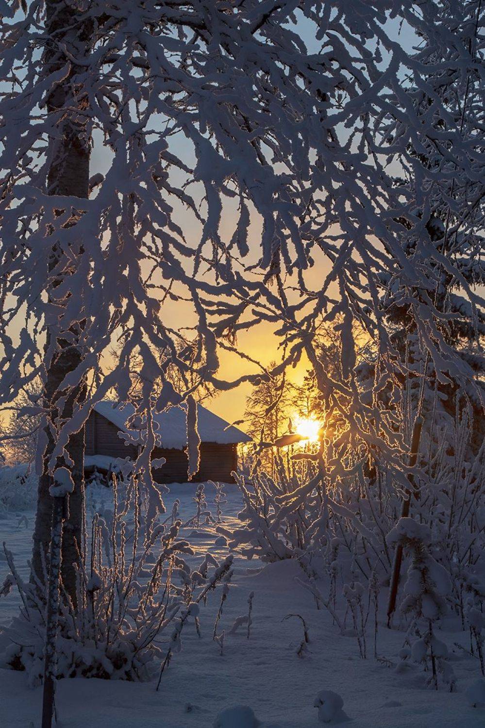 Игра в прятки 2. Автор: Lapland Швеция, Lapland