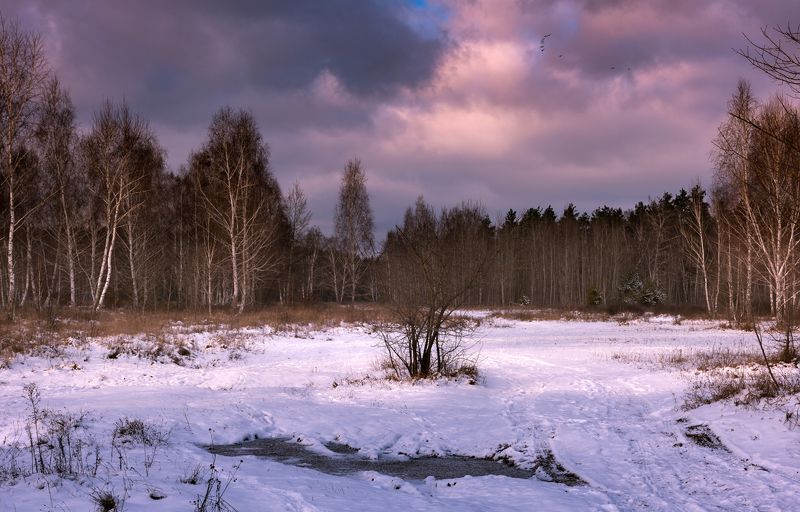 луг зима декабрь закат Мороз крепчал и лебеди летели на югphoto preview