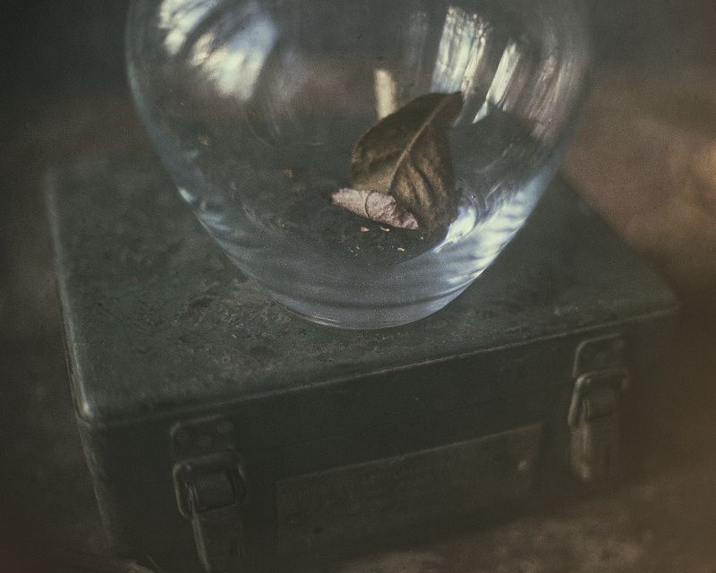 Осень на памятьphoto preview