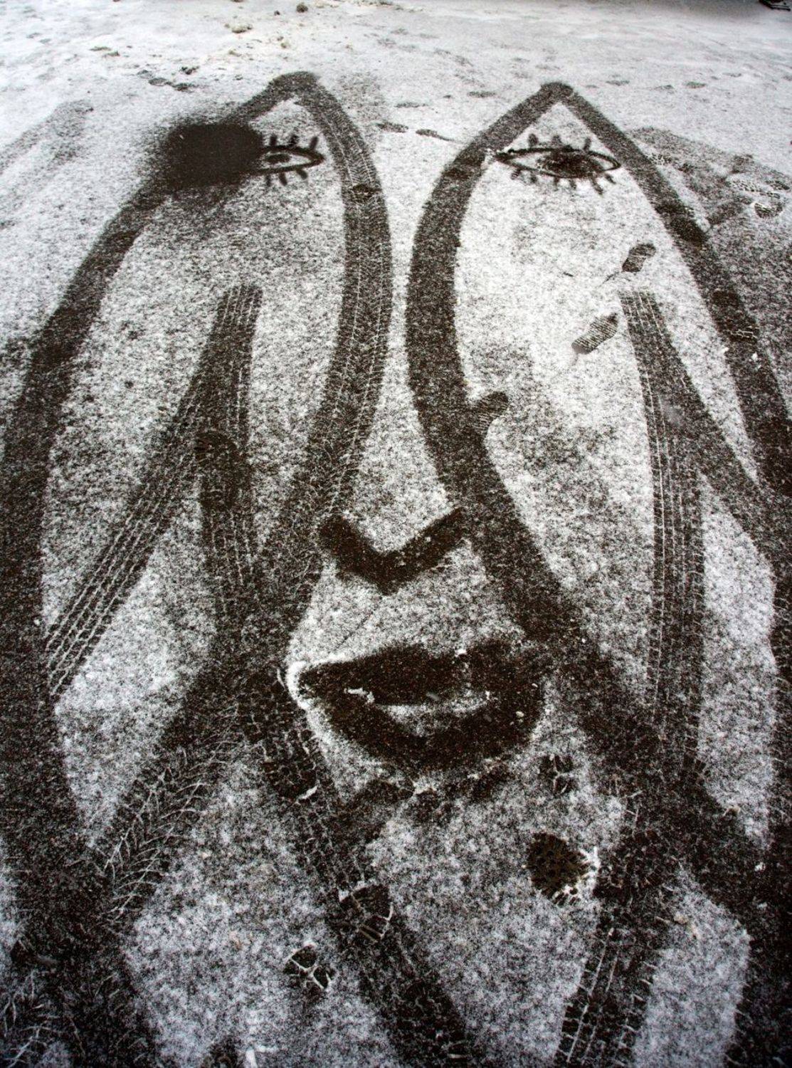 pareidolia, ПОЛУЕВ ИЛЬЯ