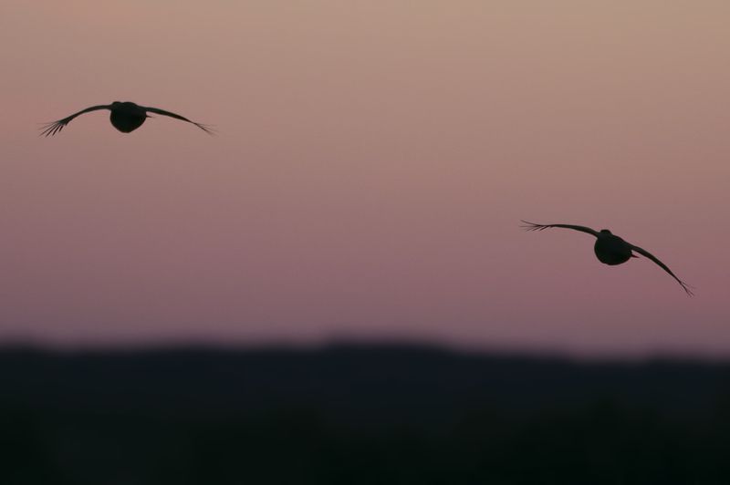 Глазаphoto preview