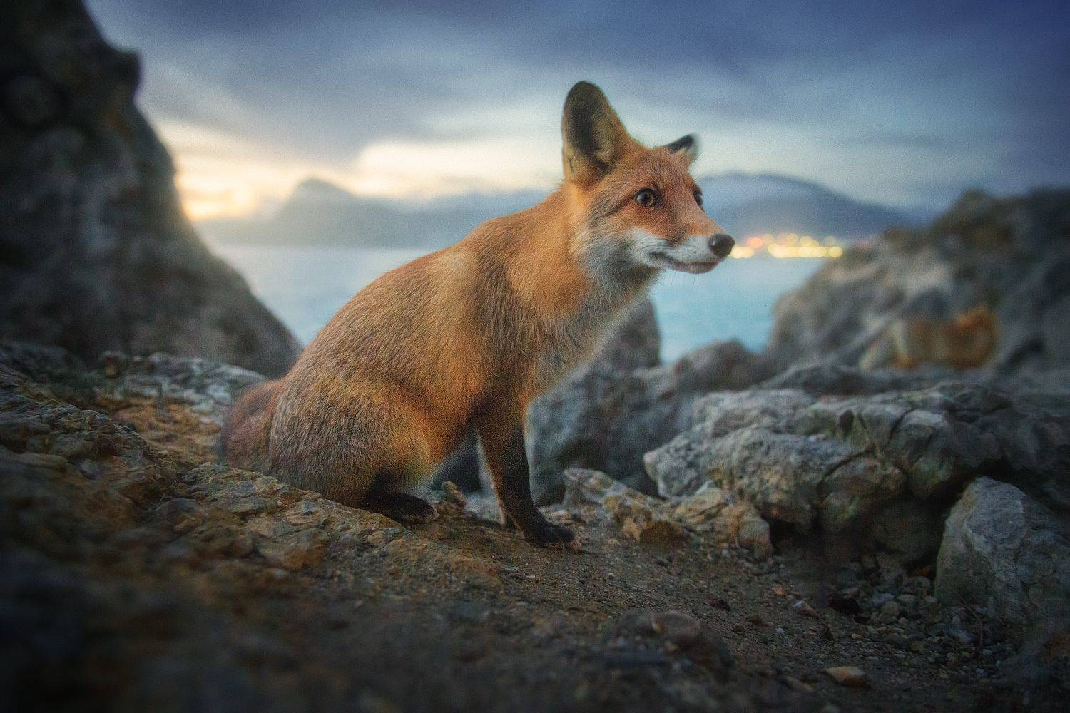 , Алексей Агеев