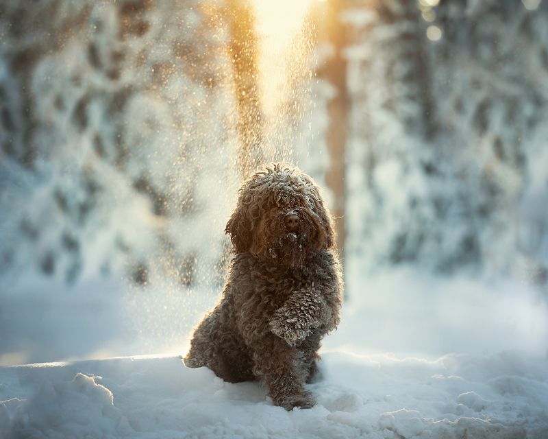 Х-холодно !!! фото превью