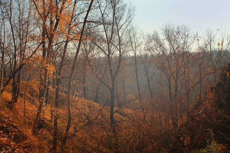 осень, октябрь *photo preview