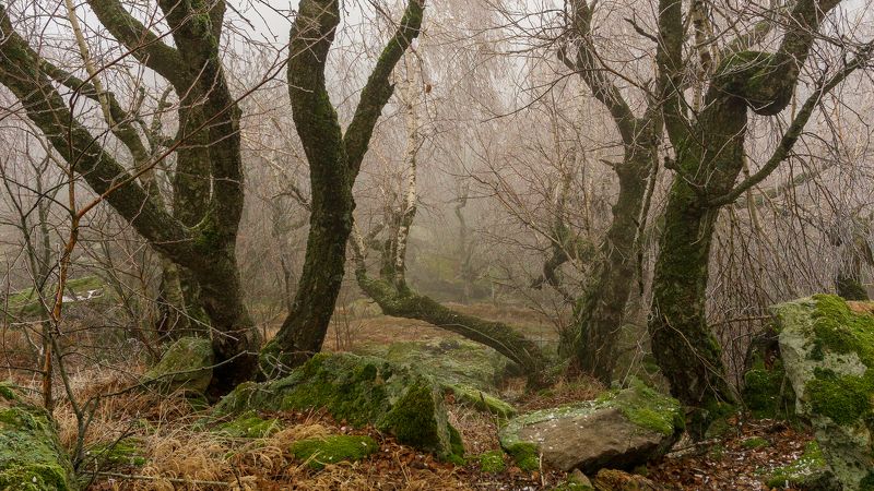 туман, кмв, развалка Под горой Развалкойphoto preview