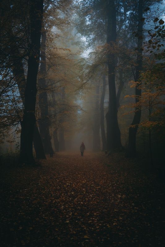 landscape,autumn,canon The Ghosts of Autumn...photo preview