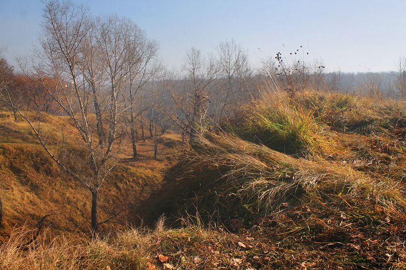 осень, октябрь **photo preview