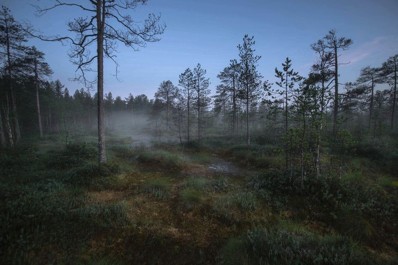 Топиphoto preview