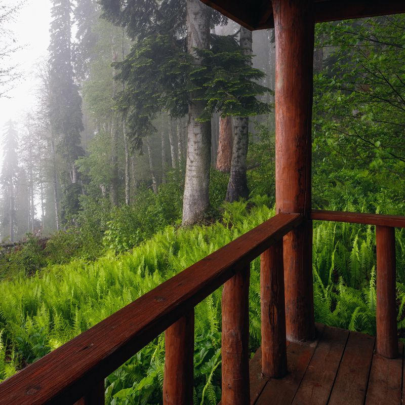 пейзаж, день Вид с верандыphoto preview