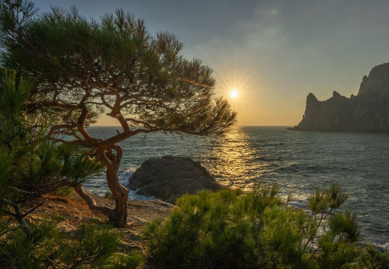 Новый Светphoto preview