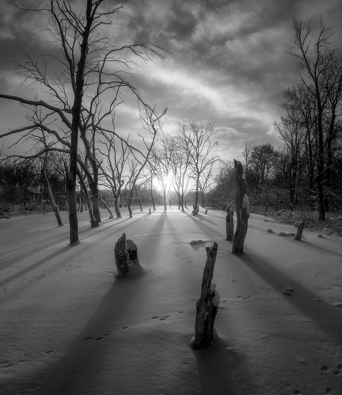 #ProWinterphoto preview