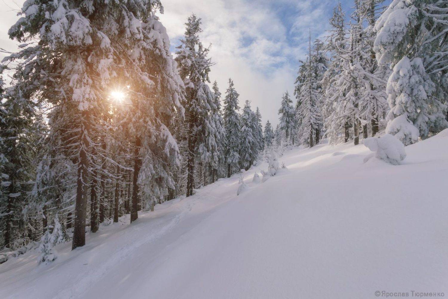 , Ярослав Тюрменко (Jaremi)