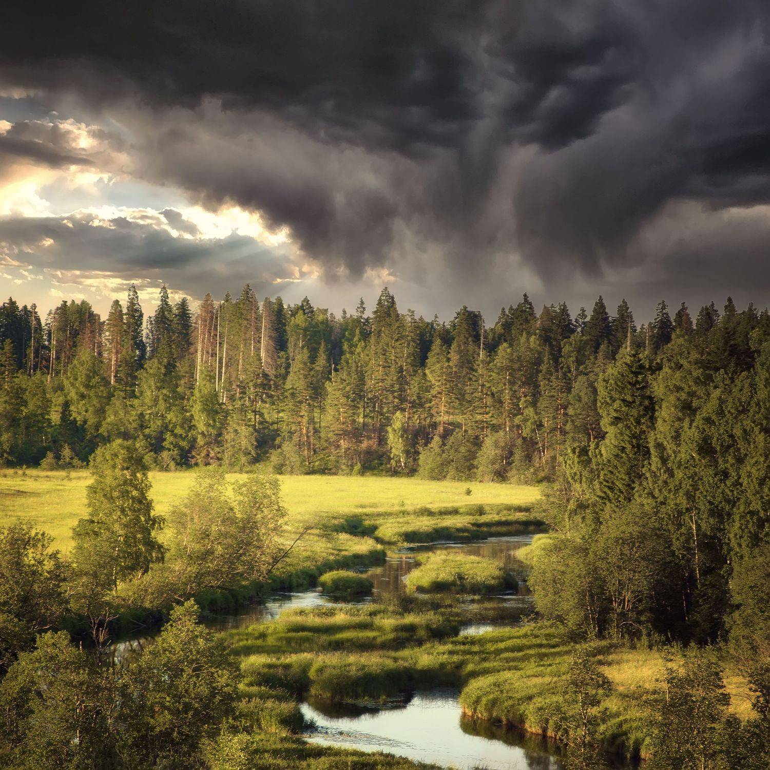 , Булатов Дмитрий