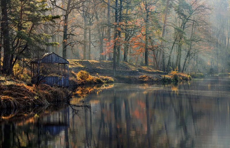 Утро в паркеphoto preview