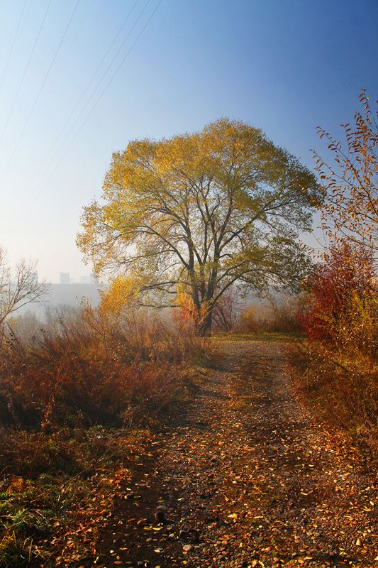 осень, октябрь *photo preview