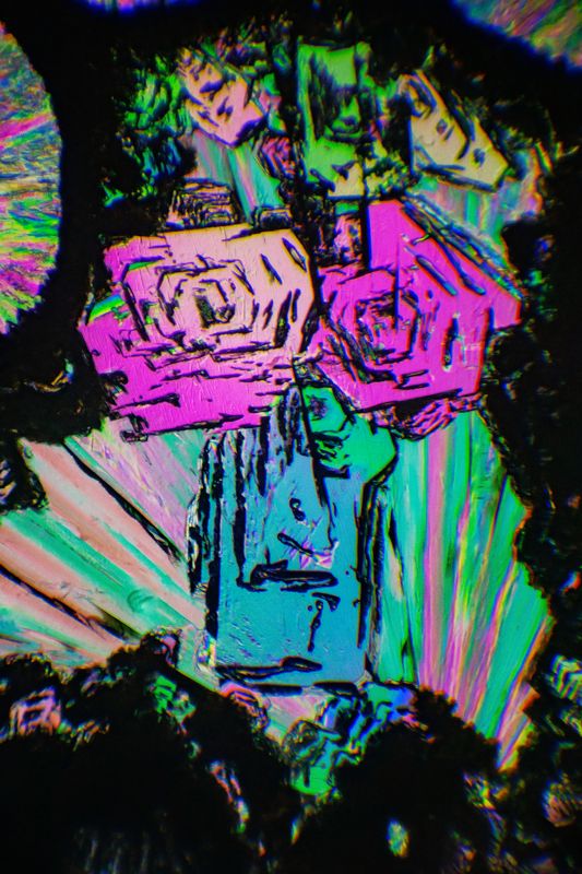 Citric acid under a microscopephoto preview