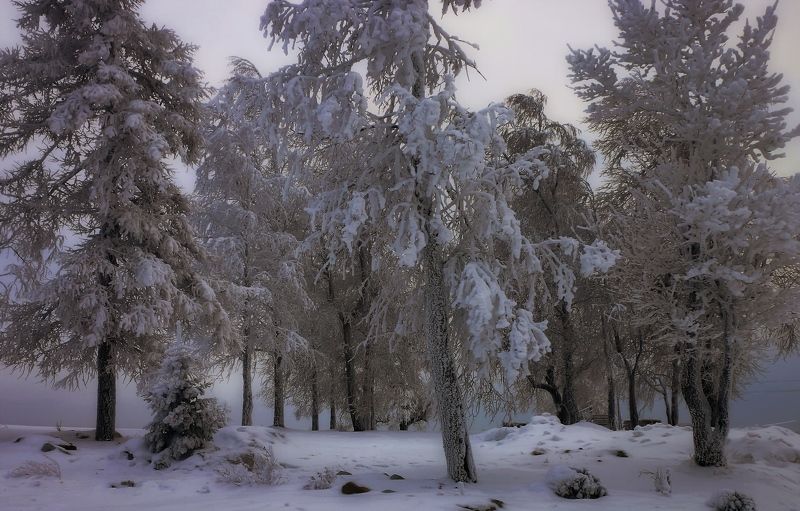 Зимушка...photo preview