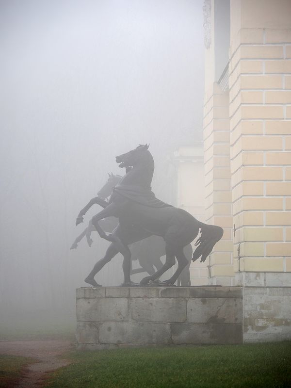 конный дворphoto preview