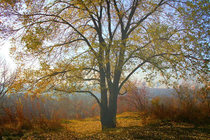 осень, октябрь **photo preview