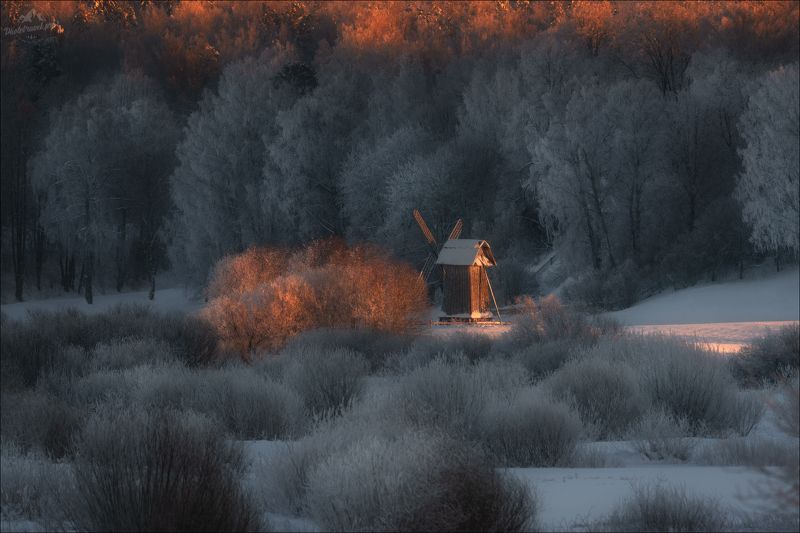 пушкинские горы, псковская область, зима, савкино, михайловское, тригорское, петровское, бугрово, пушкин Зимний сон ..photo preview