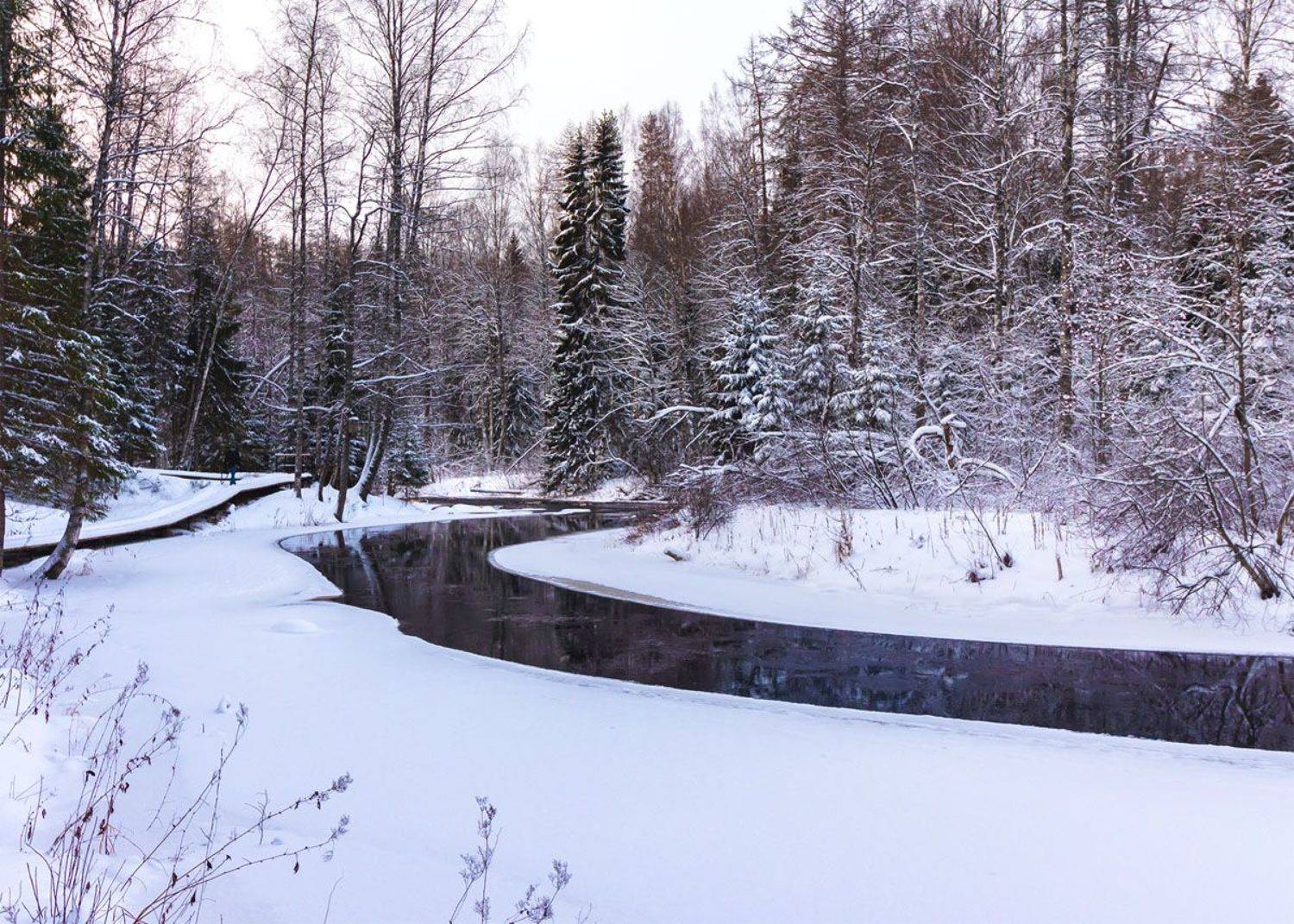 , Алексей Герасимов