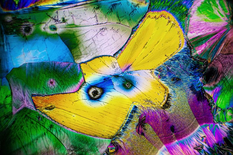 Tartaric acid under the microscopephoto preview