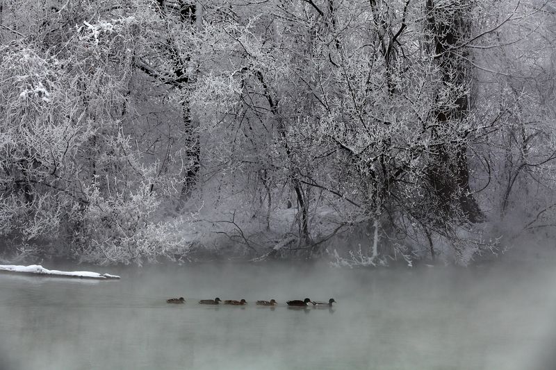 Там, на неведомых дорожках...photo preview