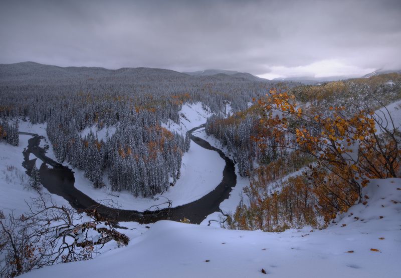 ПОСЛЕДНИЕ ЛИСТЬЯphoto preview