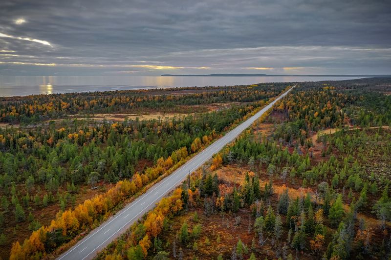 Сквозь мед и брусникуphoto preview