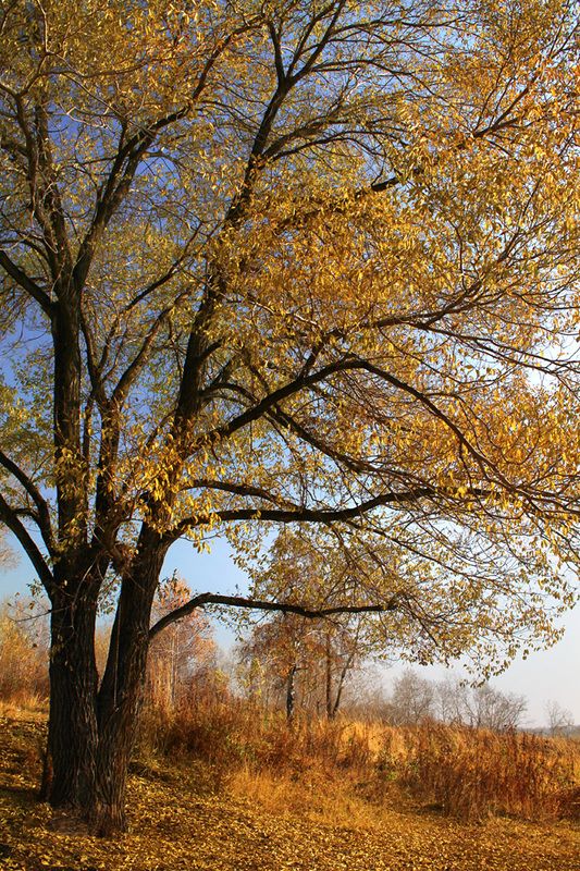 осень, октябрь **photo preview