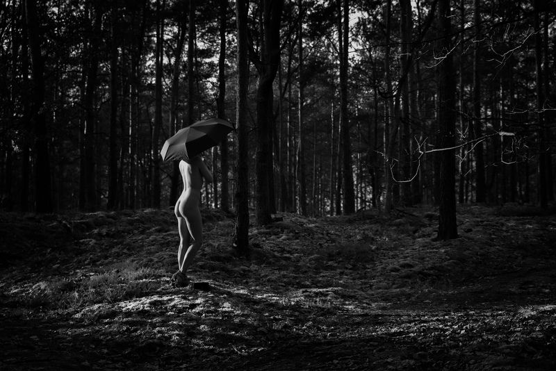 girl, woman, арт, женщина, nude, ню, девушка, модель, model, art ray of light | луч светаphoto preview