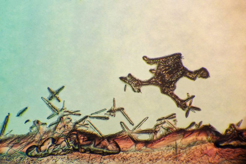 Copper sulphate + ferrous sulphate under a microscopephoto preview