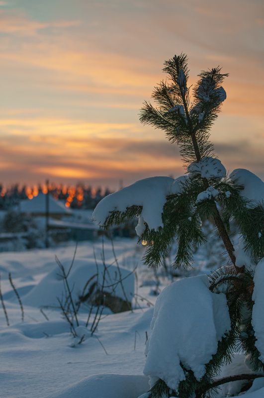 Яркая зимаphoto preview