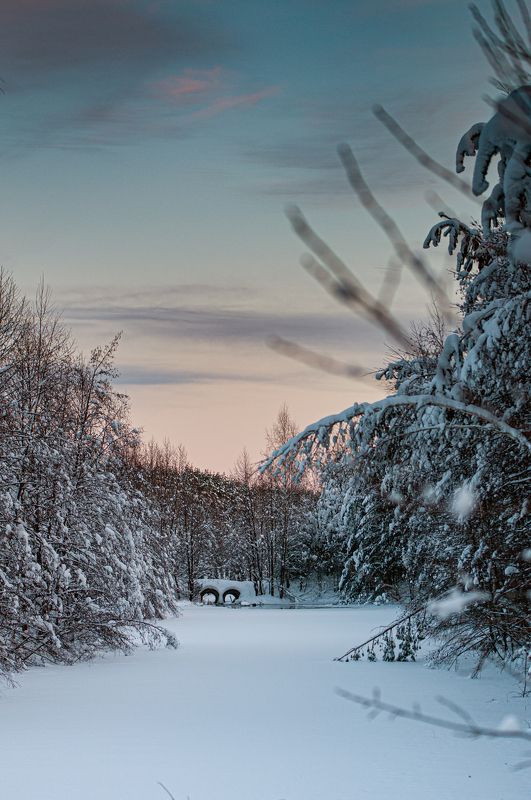 Зимаphoto preview