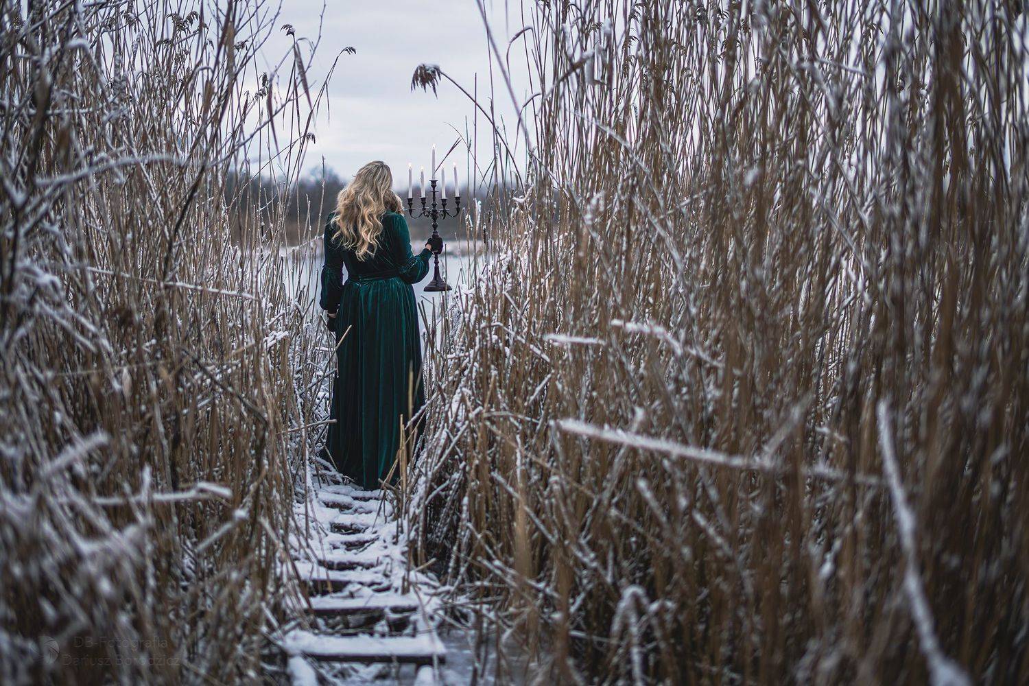 Ellie. Автор: Dariusz Borodzicz , Dariusz Borodzicz